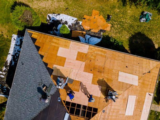Best Residential Roof Replacement  in Darien, WI