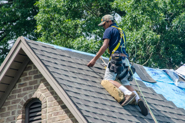 Best Storm Damage Roof Repair  in Darien, WI